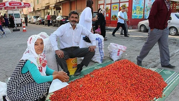 Kuşburnu pazara indi
