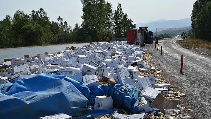 Okullara üzüm taşıyan tır devrildi: 1 yaralı
