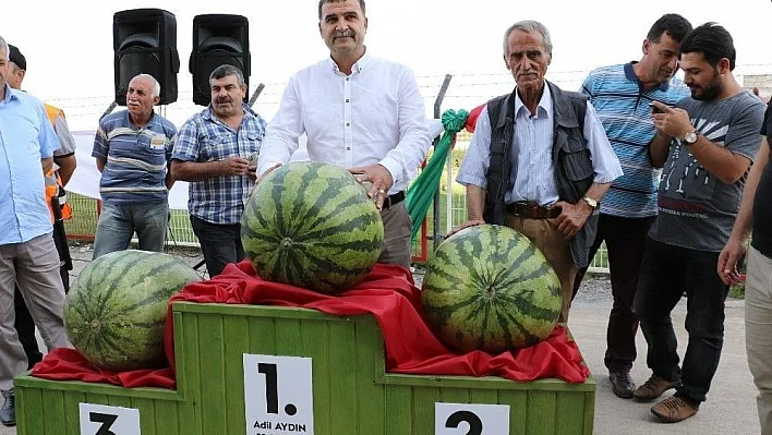 Diyarbakır'ın en ağır karpuzu seçildi
