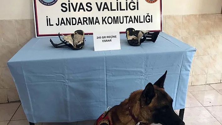 Terlikten esrar çıktı
