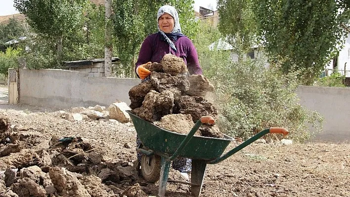 Sivas'ta kışlık tezek hazırlıkları başladı
