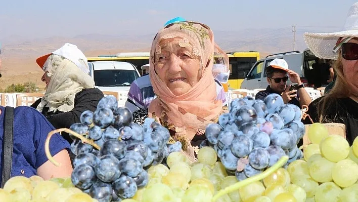 Üzümler yarıştı, birinciler çapa makinesi kazandı