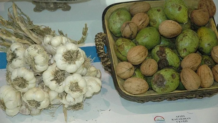 Tarım ürünleri ve teknoloji makineler bu fuarda buluştu
