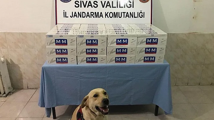 Valizlerden kaçak sigara çıktı
