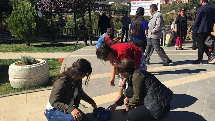 Tunceli'de Sokak Hayvanları Koruma Günü etkinlikleri
