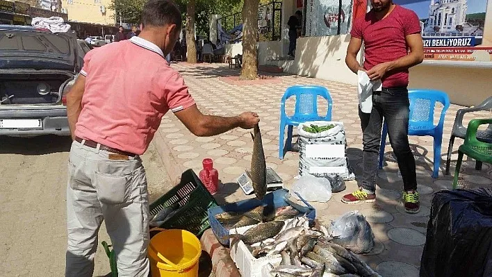 Kulp'ta baraj balığı tezgahtaki yerini aldı
