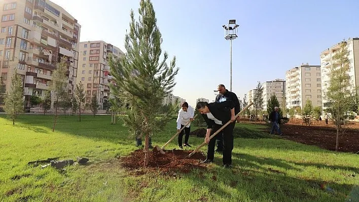 Başkan Akat ağaç dikimine katıldı
