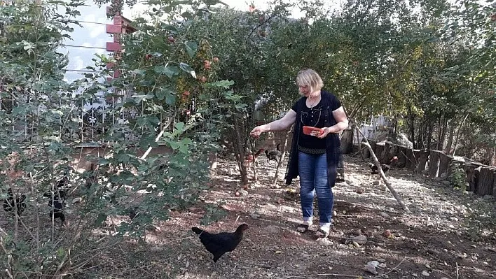 Köy hasretine dayanamadı
