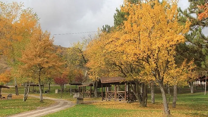 Bozkır'da sonbahar
