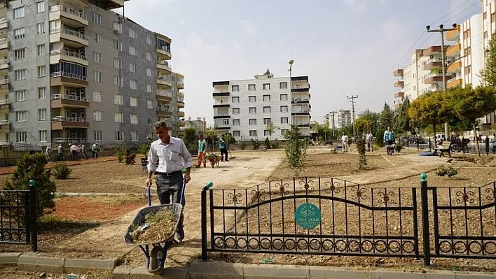 Parklara kış bakımı
