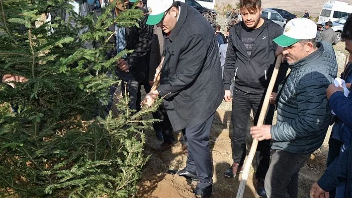 Suşehri'nde hatıra ormanına 5 bin fidan dikildi
