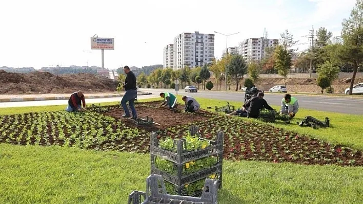 Kavşak ve refüjler renkleniyor
