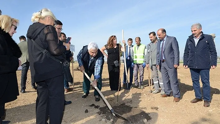 Sanatçılar nikah şahidi oldu, fidan dikti
