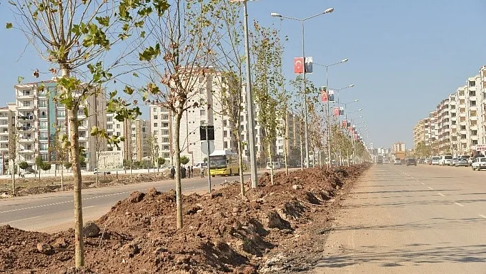 Büyükşehir, Diyarbakır'ı ağaçlandırıyor
