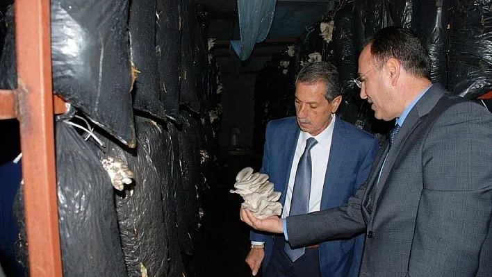 Vali Kalkancı tarımsal alandaki ekonomik yatırımları inceledi
