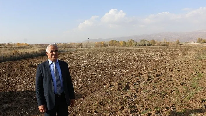 Bingöl Belediyesi kendi bitkisini yetiştirecek
