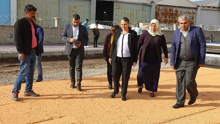 Bağcılar Mahallesi asfaltlanıyor

