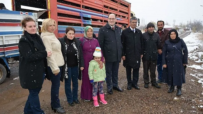 Suşehri'nde genç çiftçilere küçükbaş hayvan dağıtıldı
