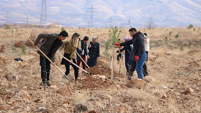 Üniversite öğrencilerinden anlamlı etkinlik
