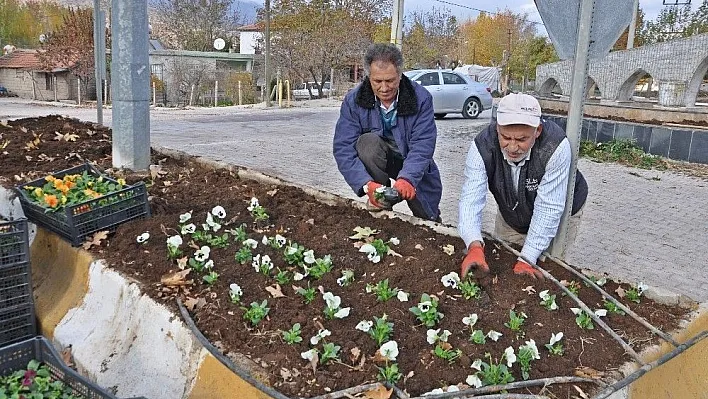 Gölbaşı Belediyesi kışlık çiçek dikim yapıyor
