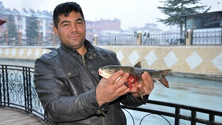 Ceyhan Nehri'nde toplu balık ölümleri yaşandı
