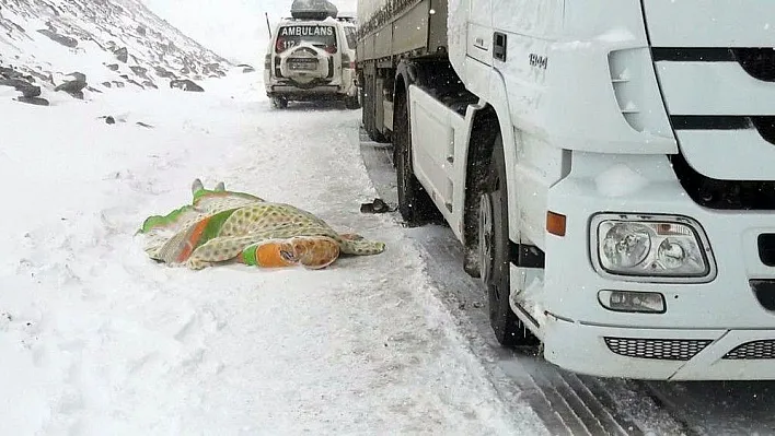 Kar ve tipi dolayısıyla kapanan yolda sürücü kalp krizi geçirerek öldü
