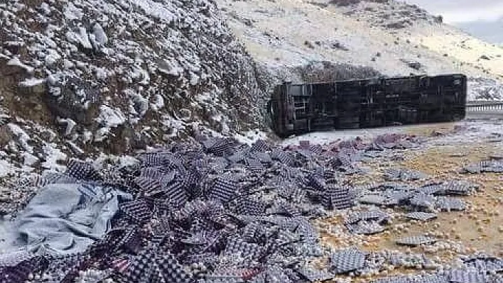 Yumurta yüklü tır devrildi: 1 yaralı