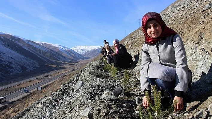 Erzincan'da KYK'lı gençler gelecek için fidan dikti

