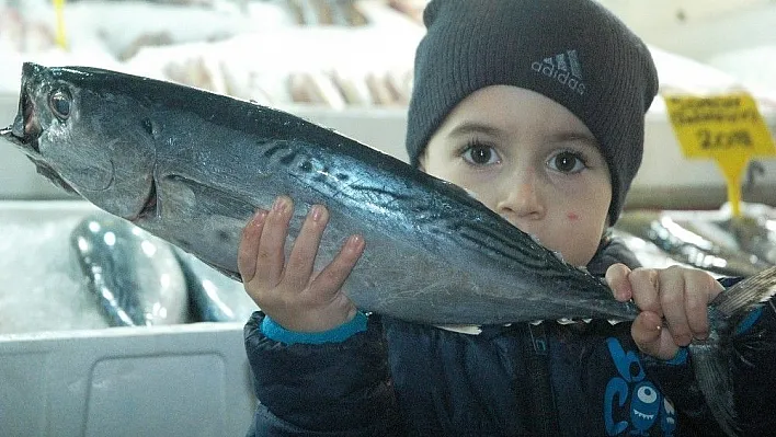 (Özel) Kahramanmaraş'ta balık fiyatları tavan yaptı
