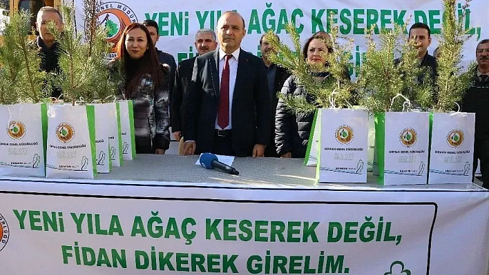 Yeni yıl öncesi ücretsiz çam fidanı dağıtıldı
