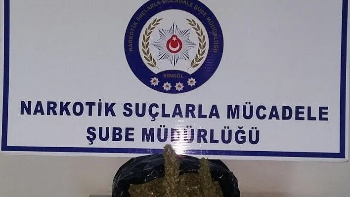 Bingöl'de 1 kilo 900 gram esrar ele geçirildi