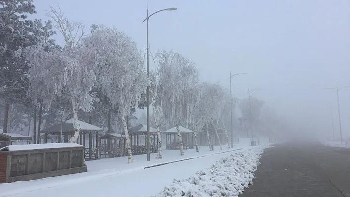 Erzurum buz kesti
