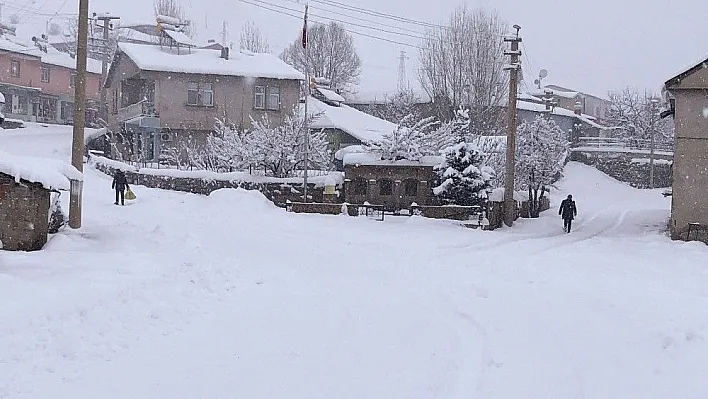 Bingöl'de kar, 278 köy yolunu kapattı, Yedisu'da okullar tatil edildi