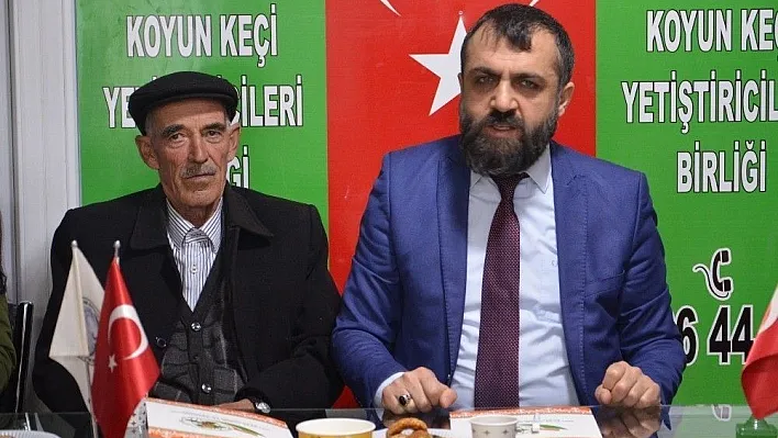 'Koyun kırkım' kursu başladı
