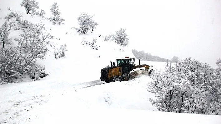 Tunceli'de kar nedeniyle 165 köye ulaşım sağlanamıyor
