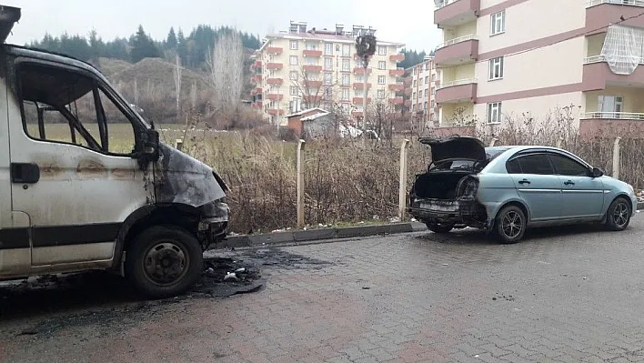Bingöl'de iki araç yandı
