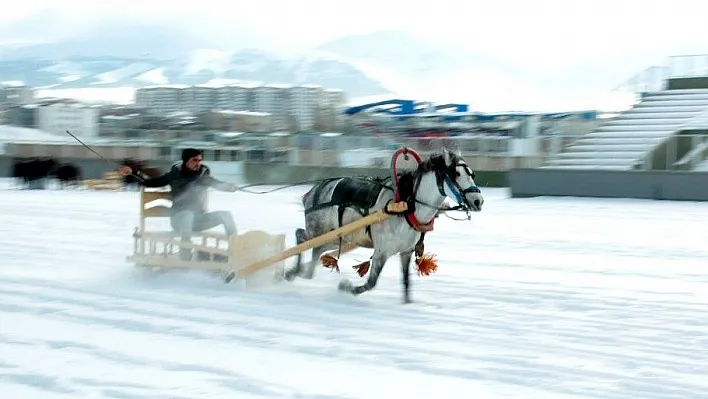 Erzurum'da atlı kızak yarışı
