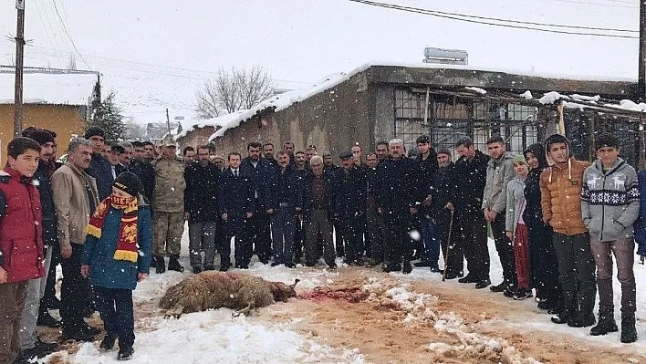 Vatandaşlar Mehmetçik için kurban kesti
