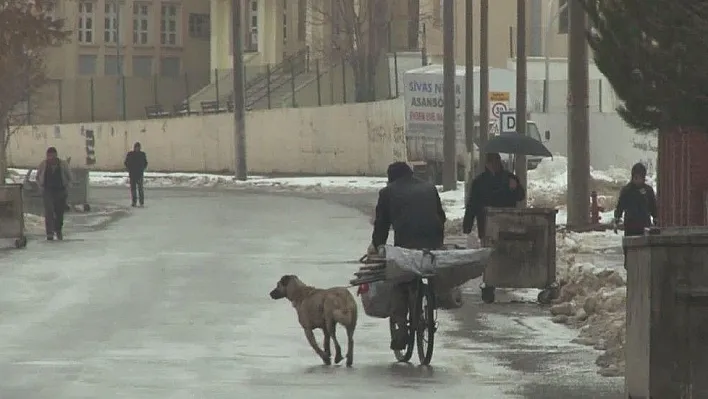 Köpeği bisikletin arkasına bağlayarak koşturdu
