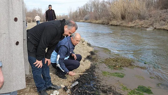 Oltu'daki balık ve kuş ölümleri araştırılıyor
