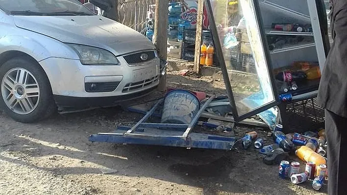 Otomobil önce köpeğe sonra buzdolabına çarptı: 2 yaralı
