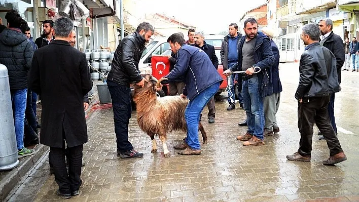 Mehmetçik için kurban kesildi
