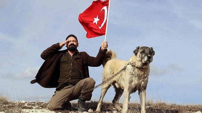 Kangal köpekleri Zeytin Dalı Harekatı'na hazır
