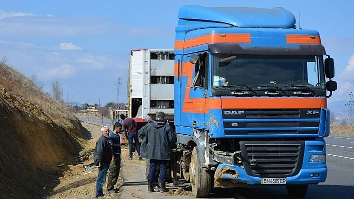 Devrilen tırda 33 küçükbaş hayvan telef oldu
