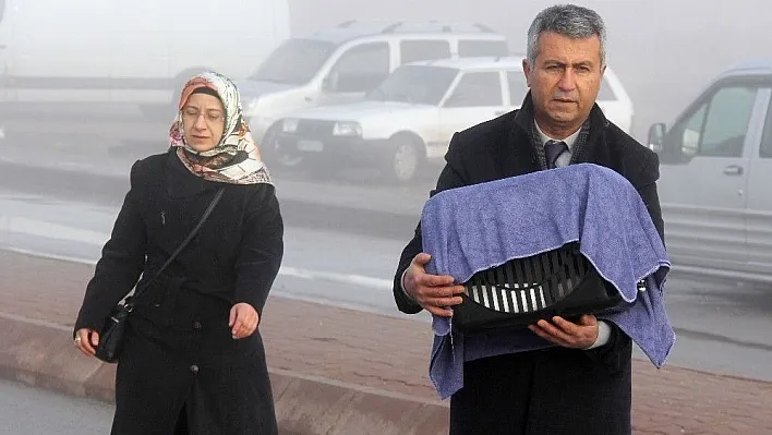 Duruşmaya kedisiyle gitti
