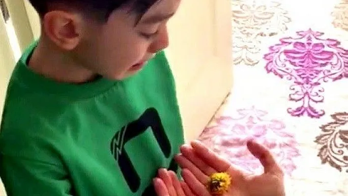 4,5 yaşındaki küçük çocuğun bitki sevgisi sosyal medyada ilgi odağı oldu
