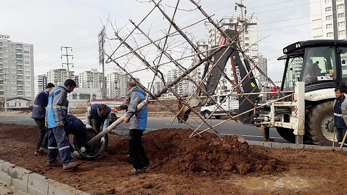 Fırat Bulvarı daha yeşil olacak
