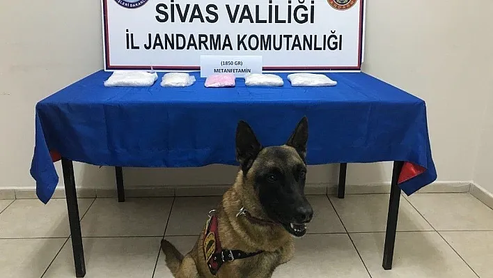 Sivas'ta metamfetamin ele geçirildi
