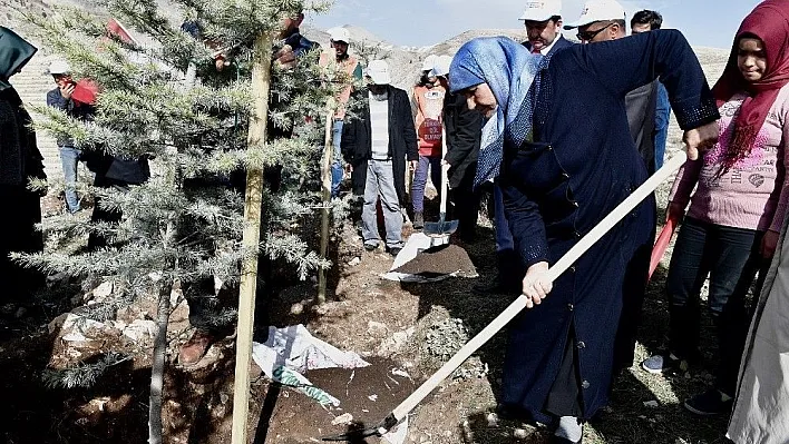 Kahramanmaraş'ta şehitler adına fidan dikildi
