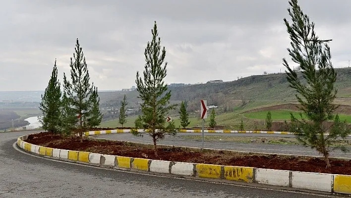 Bağıvar Caddesi ağaçlandırıldı
